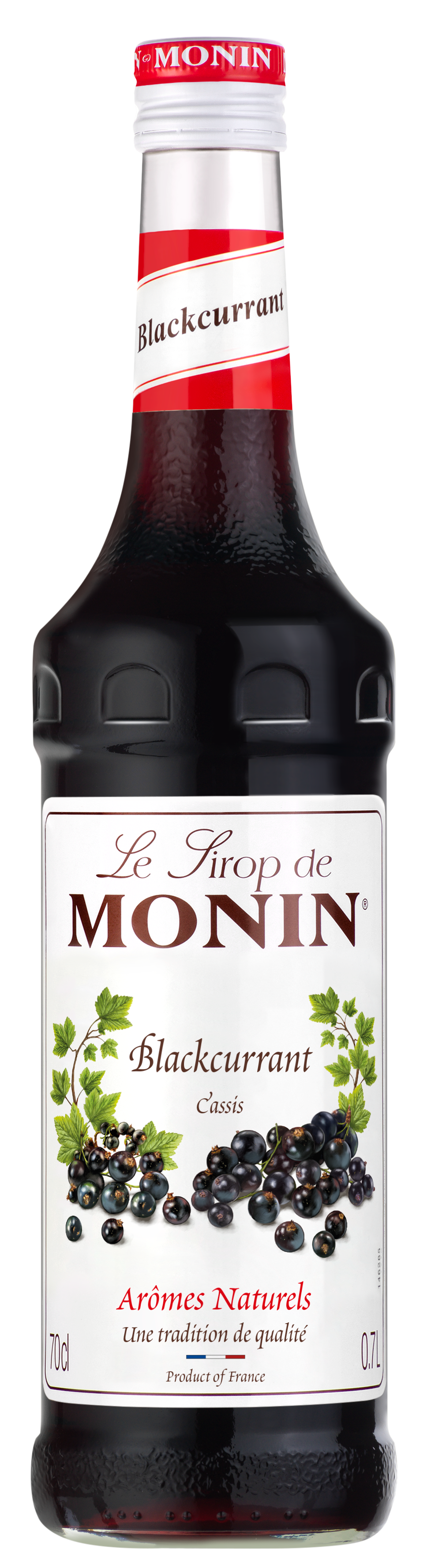 MONIN BLACKCURRANT SYRUP